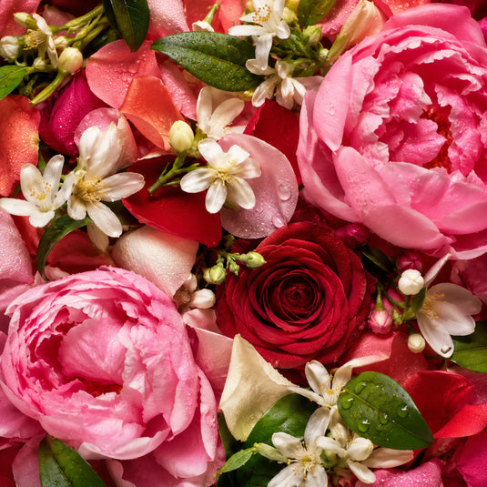 Floral