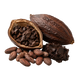absoluto de cacau