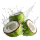 Água de Coco