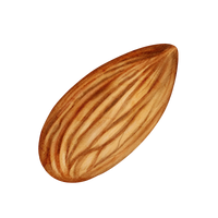 Amêndoa Amarga