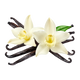 Baunilha Bourbon