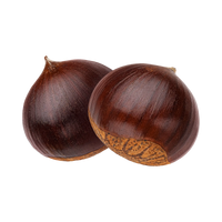 Castanha