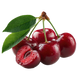 Cereja