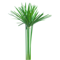 Cipriol