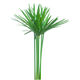 Cipriol