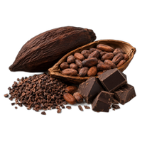 Cocoapulse