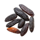 Fava Tonka