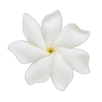 Flor de Tiaré