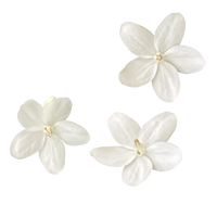 Flores Brancas