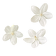 Flores Brancas