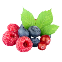 Frutos Vermelhos
