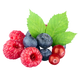 Frutos Vermelhos