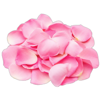 Pétalas de rosa