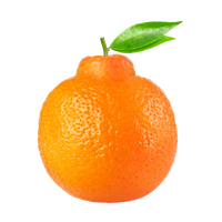 Tangerina