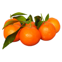 Tangerina Italiana