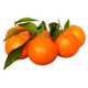 Tangerina Italiana