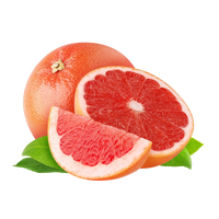 Toranja