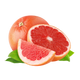 Toranja
