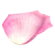 Tuberosa