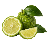 Bergamota