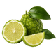 Bergamota